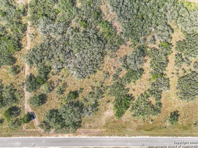 Tbd Lot 131 Utopia Oaks Property Photo 18