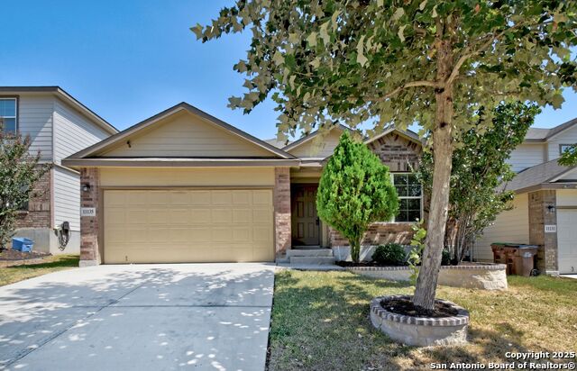 11135 Creek Eagle