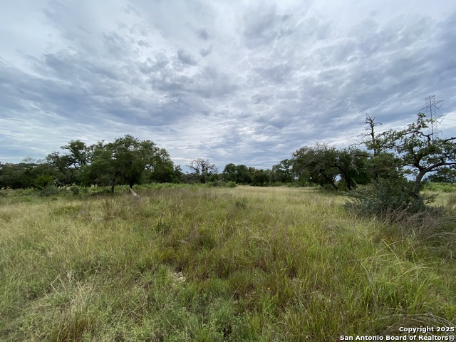 5 Kendall Jackson Property Photo 5