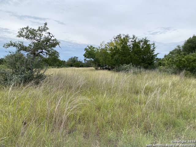 5 Kendall Jackson Property Photo 8