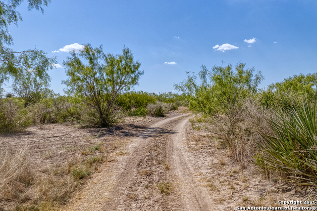 944 Fm 1049 Property Photo 39