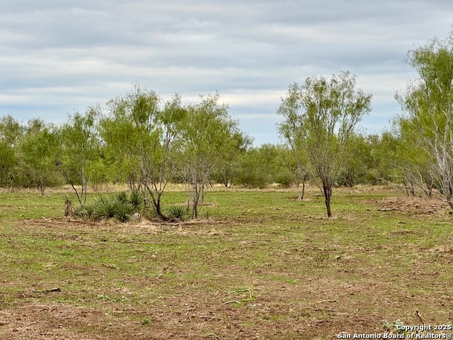 944 Fm 1049 Property Photo 55
