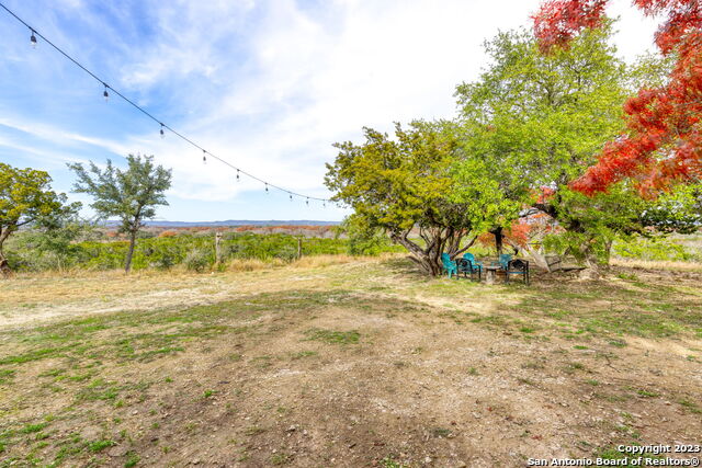 8417 State Highway 16 N Property Photo 24