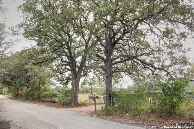 81 Sandy Creek Rd Property Photo 1