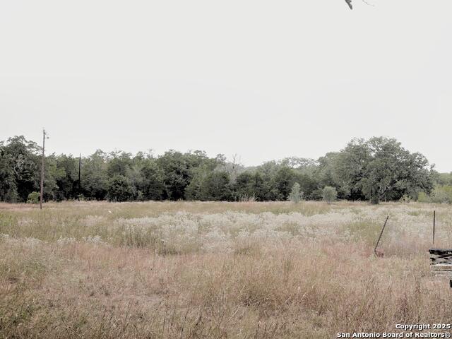 81 Sandy Creek Rd Property Photo 4