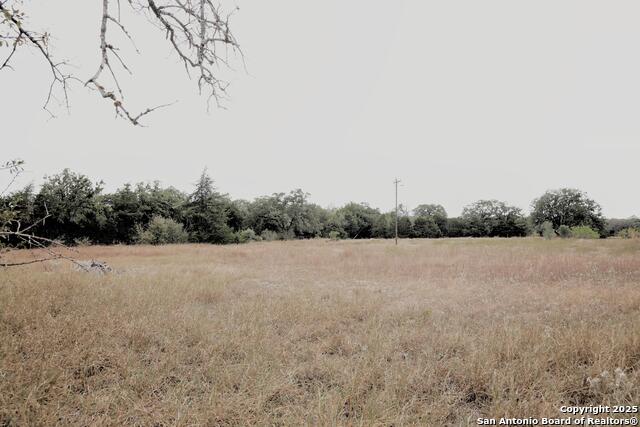 81 Sandy Creek Rd Property Photo 6