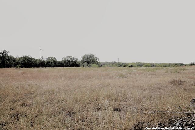 81 Sandy Creek Rd Property Photo 7