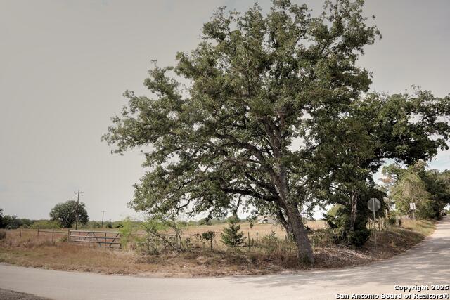 81 Sandy Creek Rd Property Photo 10