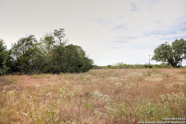 81 Sandy Creek Rd Property Photo 22