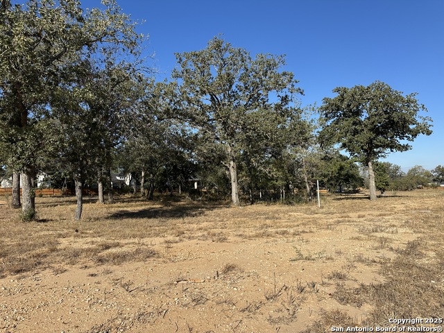 132 Chinaberry Hl Property Photo 1