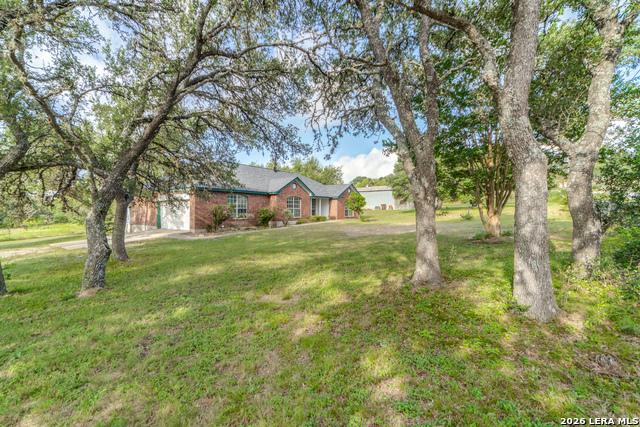 2790 Willow