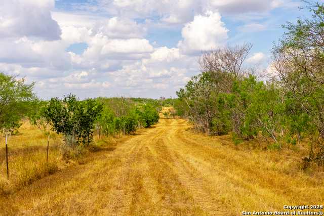 000 County Road 332 Property Photo 40