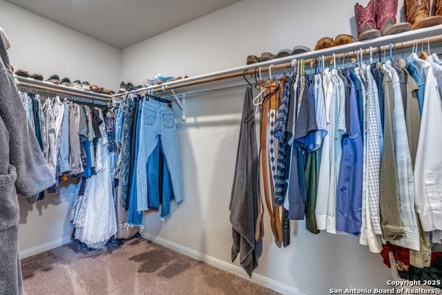 2474 Moselle Property Photo 29