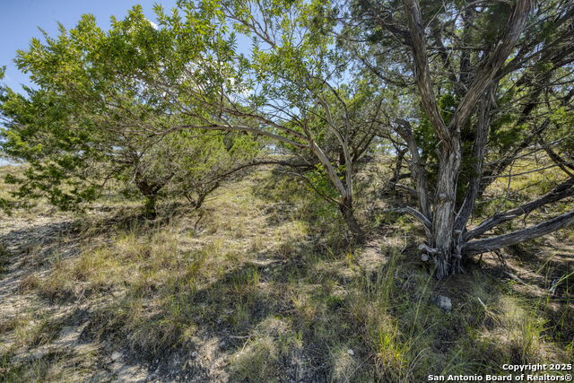 305 Spanish Pass Property Photo 49