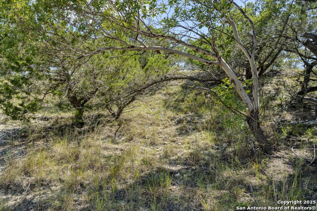 305 Spanish Pass Property Photo 50