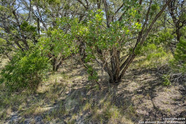 305 Spanish Pass Property Photo 51