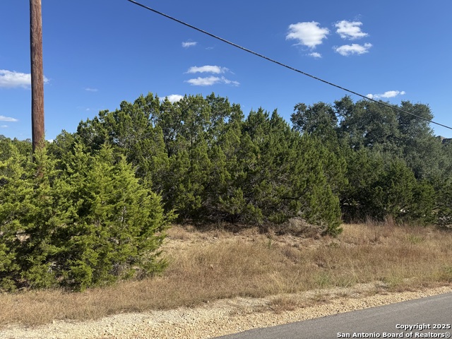217 Breeze Pt Property Photo 2