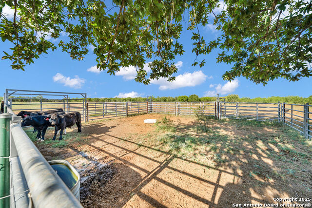 16020 Fm 463 Property Photo 38