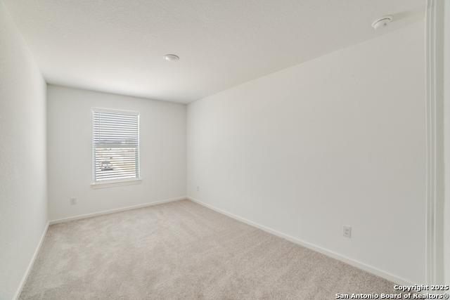 5202 Morgan Crest Property Photo 20