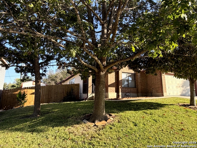7006 Raintree Property Photo 19