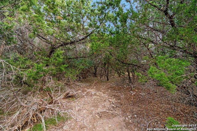25403 Singing Rain Property Photo 14