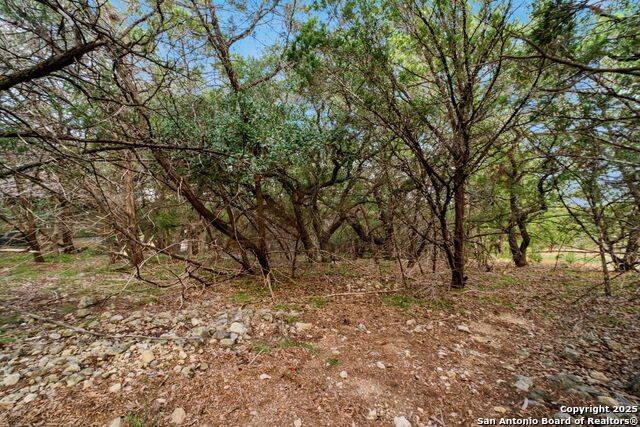 25403 Singing Rain Property Photo 15