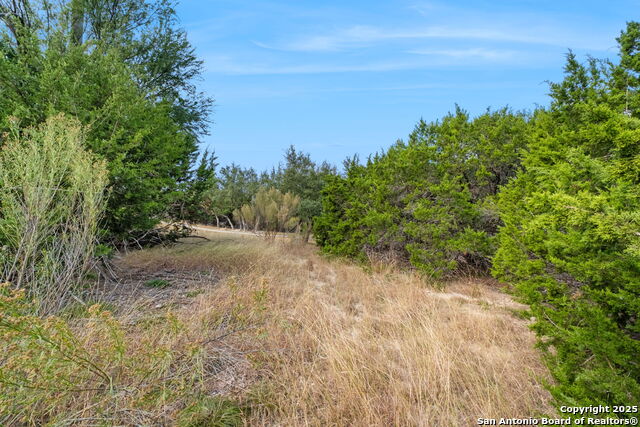 25403 Singing Rain Property Photo 17