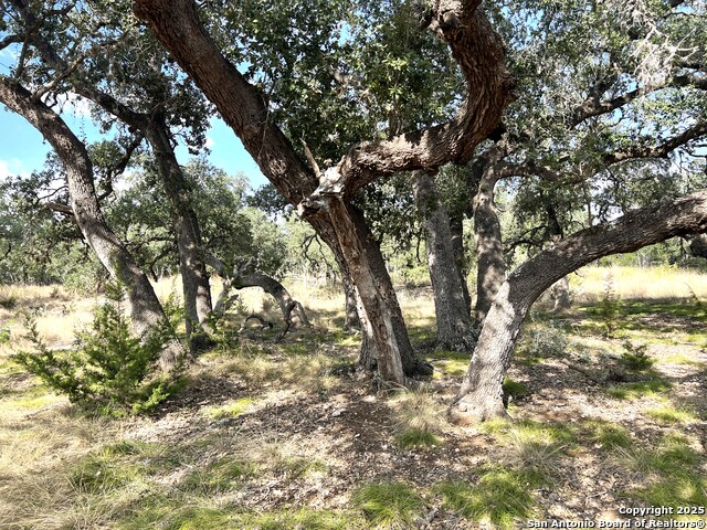630 Indian Mound Property Photo 77