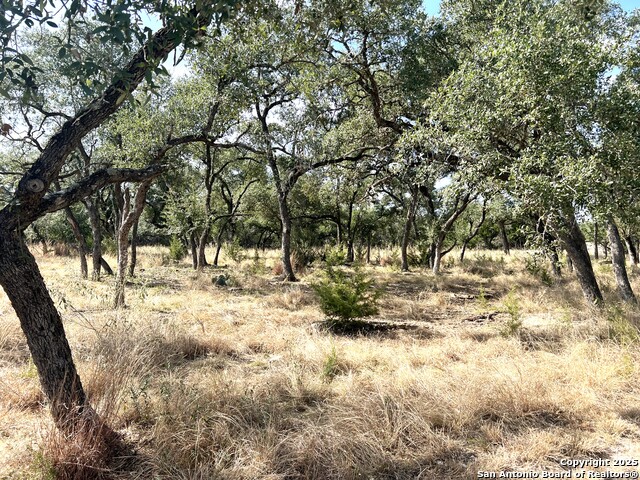 630 Indian Mound Property Photo 78