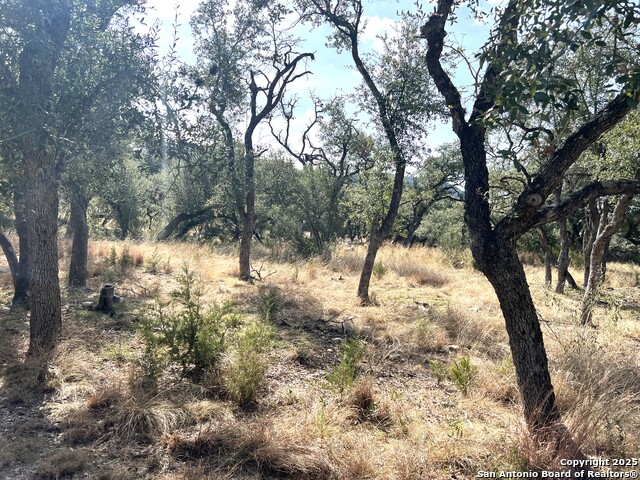 630 Indian Mound Property Photo 79