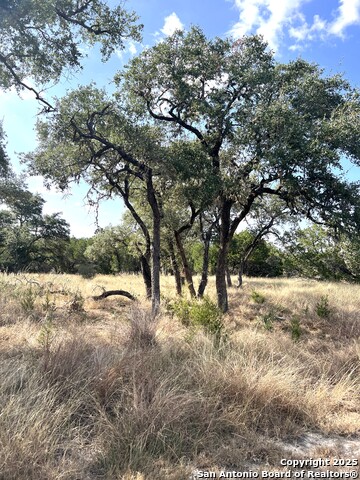 630 Indian Mound Property Photo 103