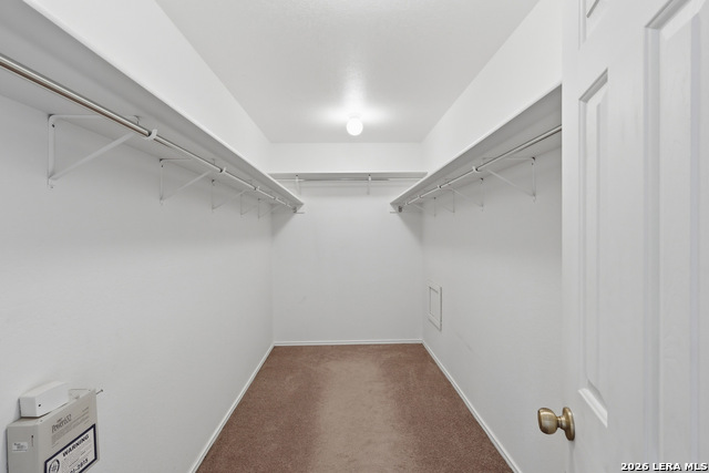 10434 Manor Creek Property Photo 16