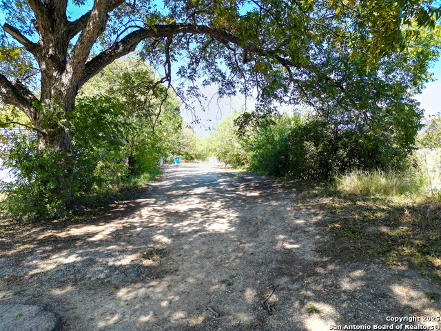 211 Wharton Property Photo 5