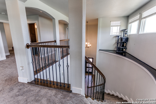 4614 Winter Cherry Property Photo 21