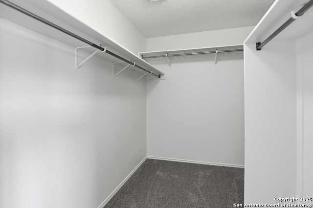 435 Territory Oak Property Photo 22