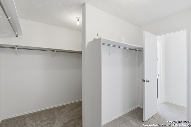 435 Territory Oak Property Photo 23