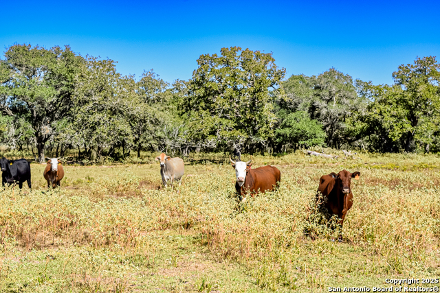 Tbd Fm 682 Property Photo 3