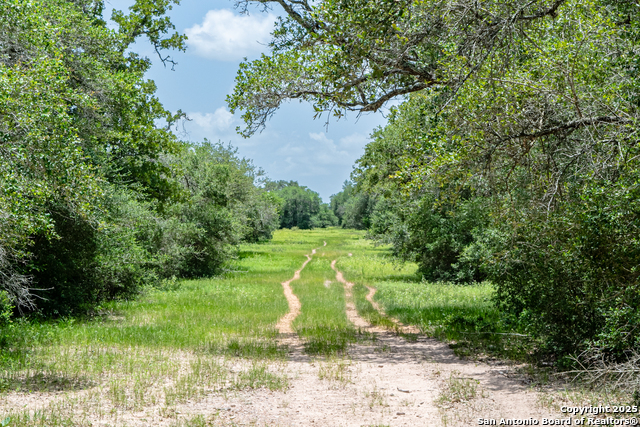 Tbd Fm 682 Property Photo 14