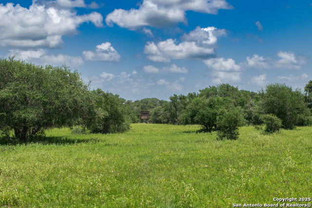 Tbd Fm 682 Property Photo 18