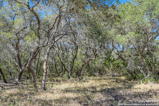 Tbd Fm 682 Property Photo 24