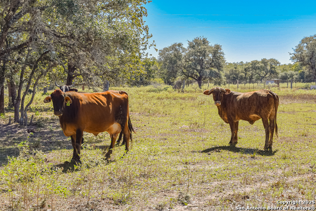 Tbd Fm 682 Property Photo 26