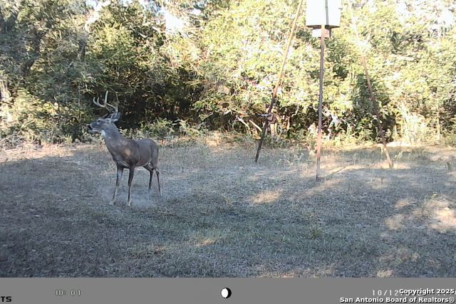 Tbd Fm 682 Property Photo 48