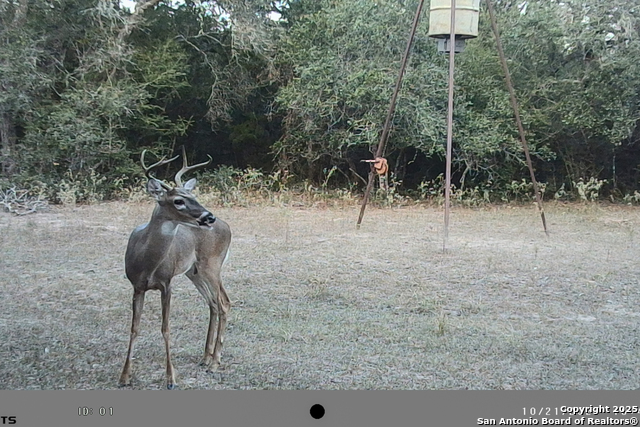 Tbd Fm 682 Property Photo 62