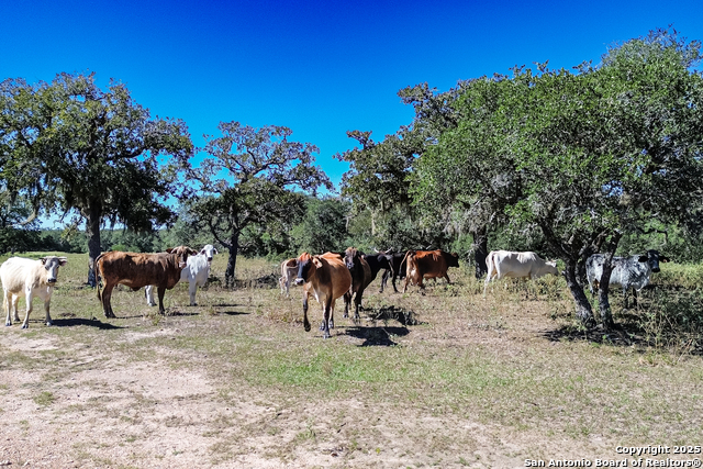 Tbd Fm 682 Property Photo 63