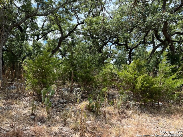 Lot 29 Alberi Property Photo 5