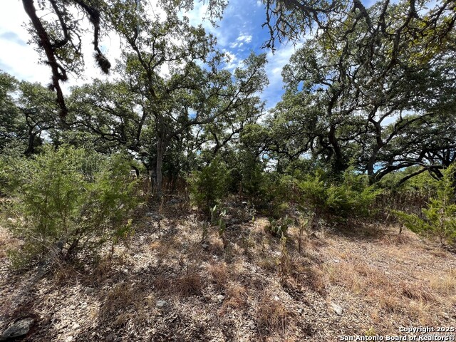 Lot 29 Alberi Property Photo 6
