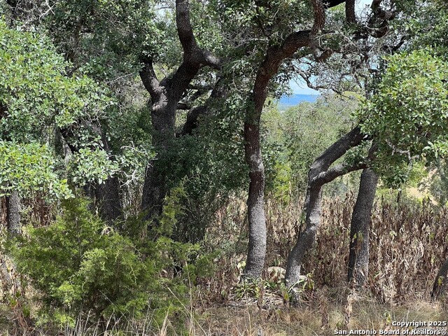 Lot 29 Alberi Property Photo 7