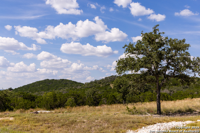 284 Dark Sky Path Property Photo 20