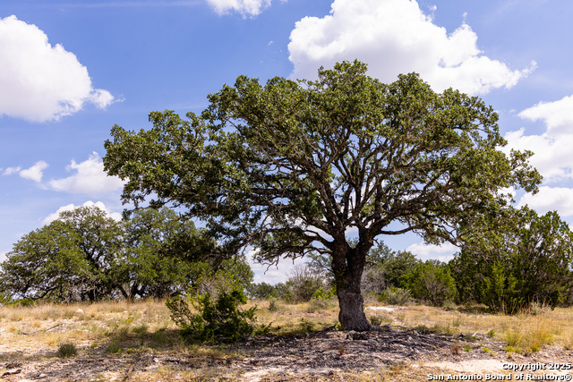 407 Dark Sky Path Property Photo 10