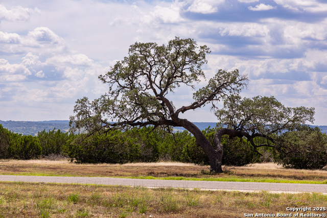 407 Dark Sky Path Property Photo 13